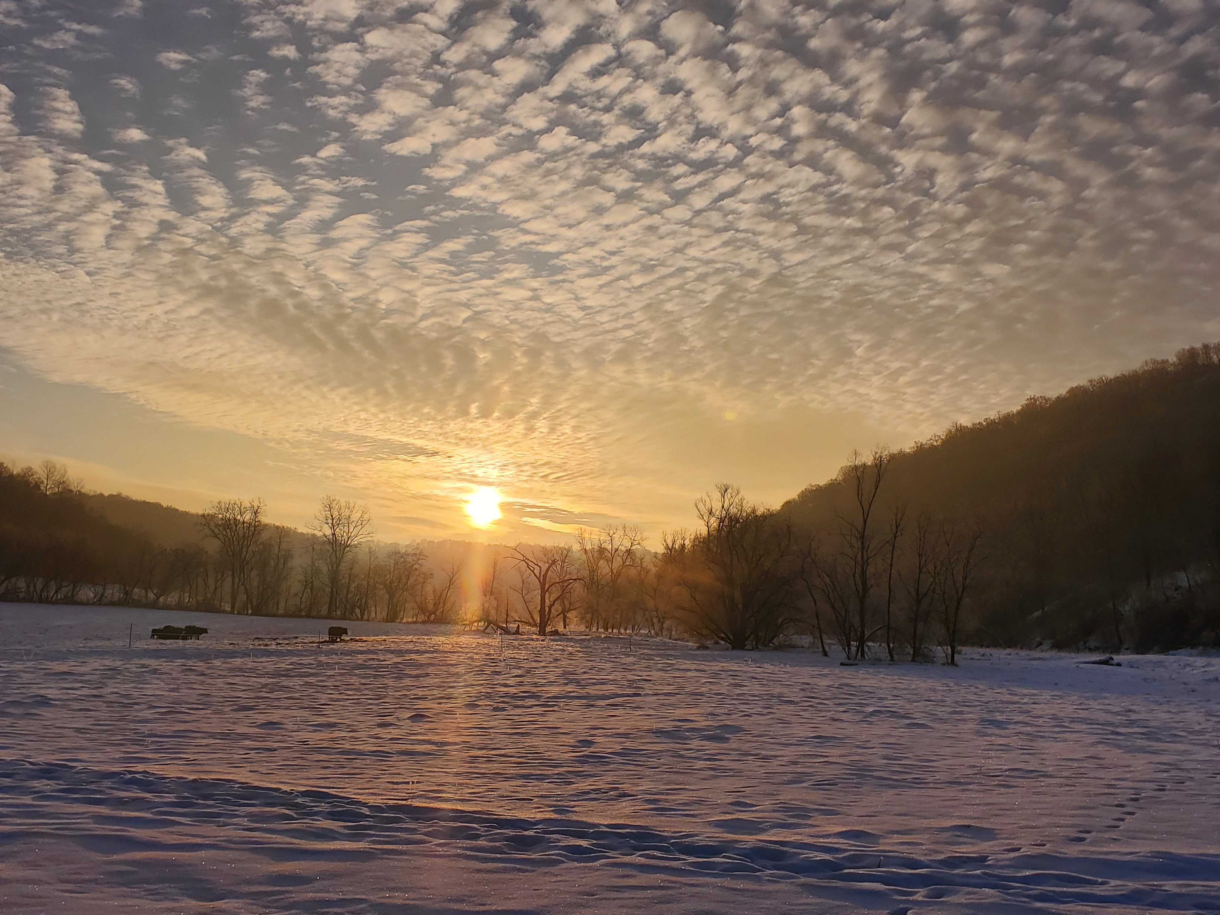 Clouds